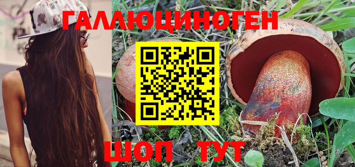 Галлюциногенные грибы GOLDEN TEACHER Губкин